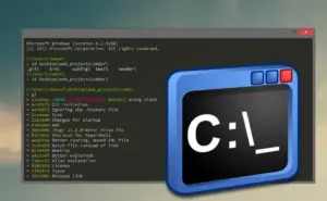 Cómo usar la terminal de Windows